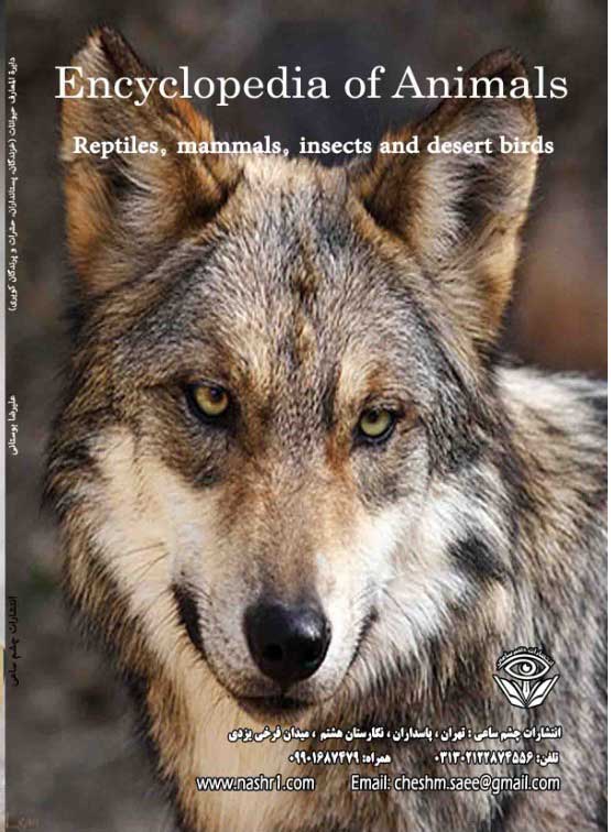 پشت جلد کتاب دایره المعارف حیوانات: خزندگان،پستانداران،حشرات،پرندگان کویری